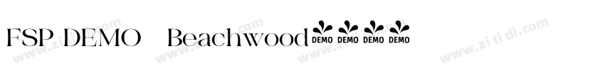 FSP DEMO   Beachwood字体转换